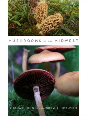 cover image of Mushrooms of the Midwest